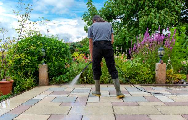 Best Sidewalk and Walkway Cleaning  in Viroqua, WI